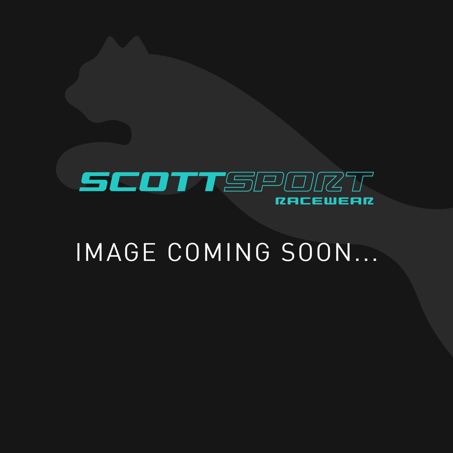 Puma Speedcat Racesuit